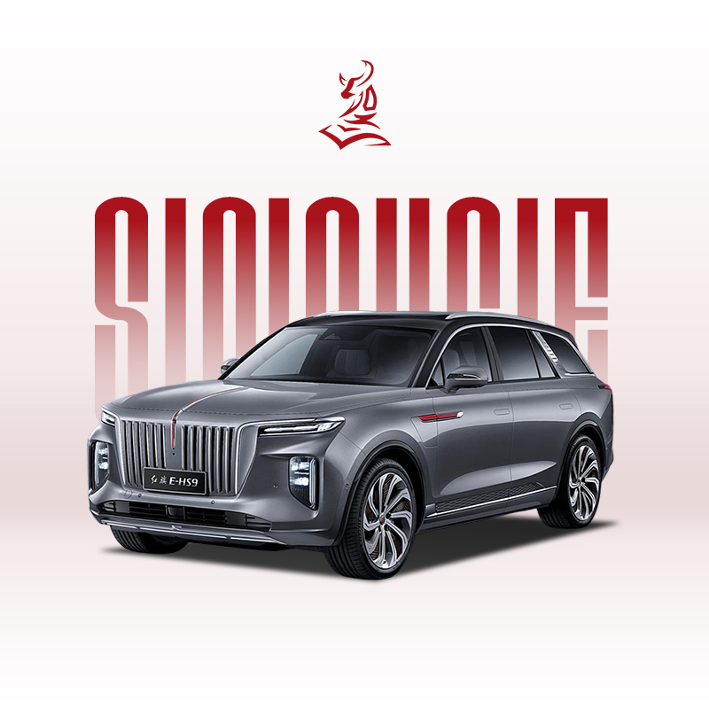 Hongqi E-HS9 2021 года выпуска, 460 км — доступный электрический 6-местный внедорожник