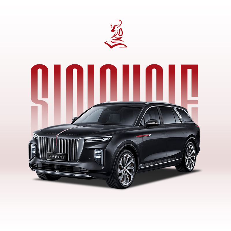 Hongqi E-HS9 2021 года выпуска, 460 км — доступный электрический 6-местный внедорожник