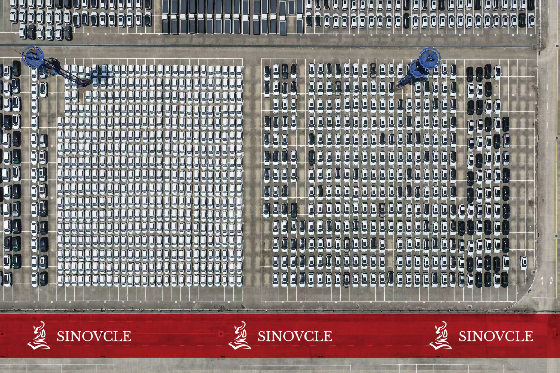 300 Vehicles Shipped in a Single Day! How Sinovcle Ensures Steady, Reliable Delivery of Top-Selling Models？